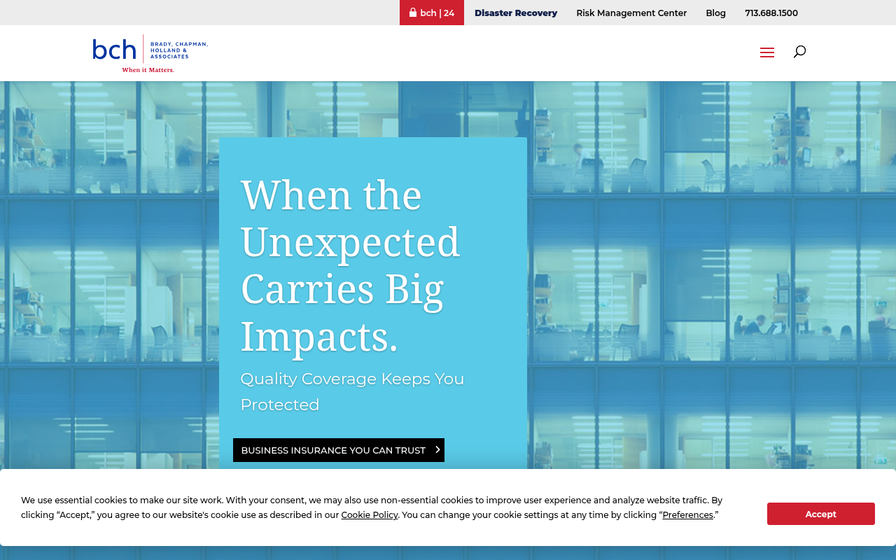 Website preview for Brady Chapman Holland & Associates